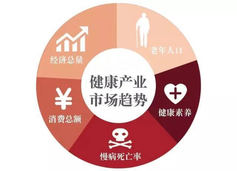 河南实业公司的成长之路：从乡镇企业到现代企业集团